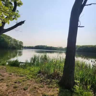 Weequahic Park - Newark, NJ