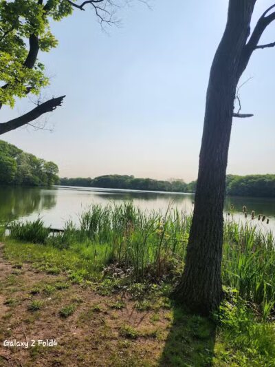 Weequahic Park - Newark, NJ