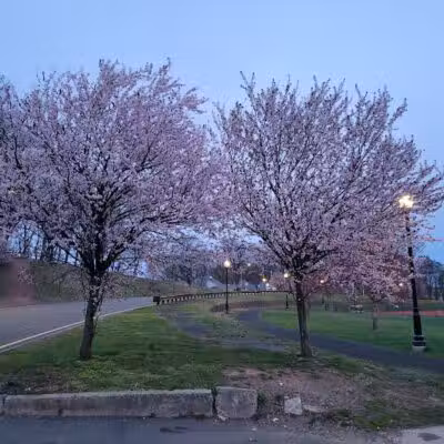 Weequahic Park - Newark, NJ