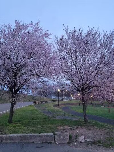 Weequahic Park - Newark, NJ