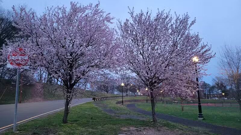 Weequahic Park - Newark, NJ