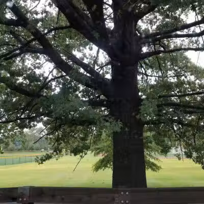 Weequahic Park - Newark, NJ