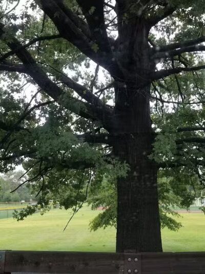 Weequahic Park - Newark, NJ