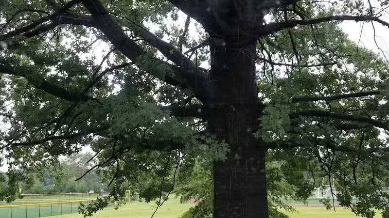 Weequahic Park - Newark, NJ