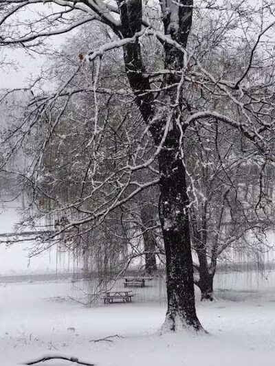 Veterans Memorial Park - Newark, NJ