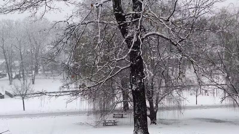 Veterans Memorial Park - Newark, NJ