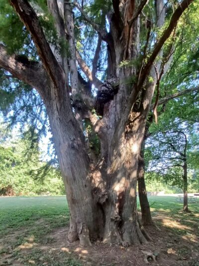 Indian Hill Overlook Park - Newburgh, IN