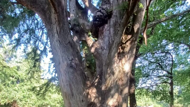 Indian Hill Overlook Park - Newburgh, IN