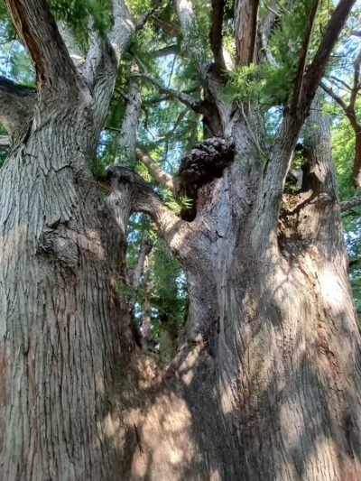 Indian Hill Overlook Park - Newburgh, IN