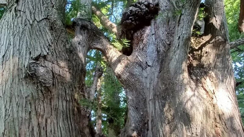 Indian Hill Overlook Park - Newburgh, IN
