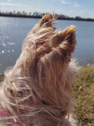 God’s Garden - Newburgh, IN