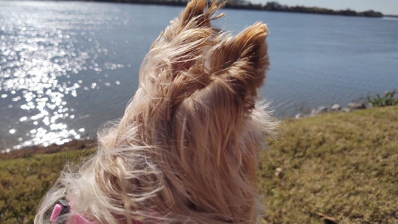 God’s Garden - Newburgh, IN