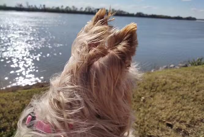 God’s Garden - Newburgh, IN