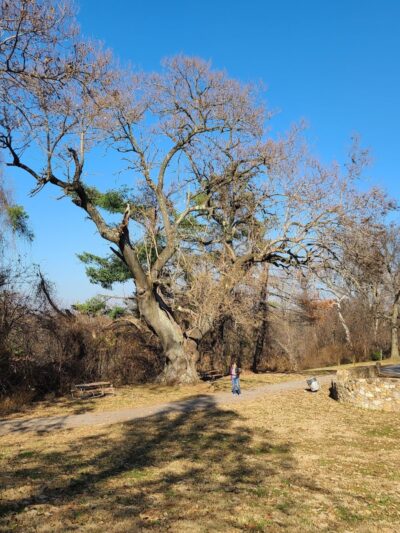 Indian Hill Overlook Park - Newburgh, IN
