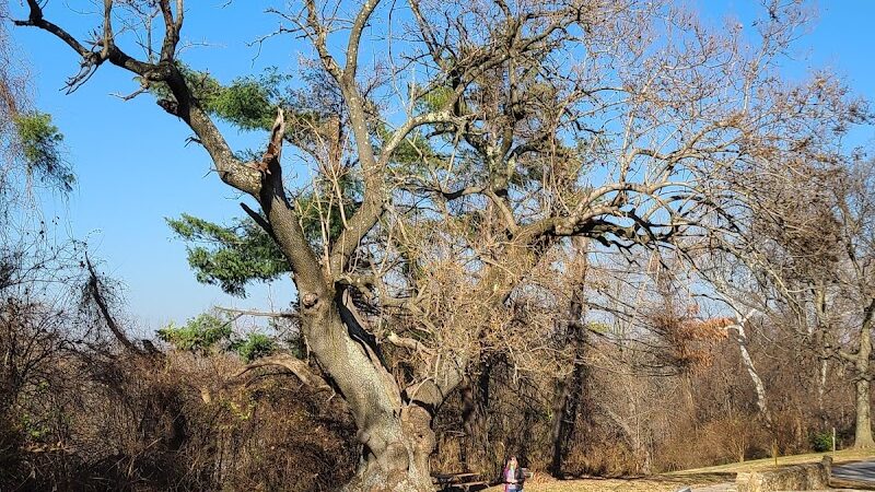 Indian Hill Overlook Park - Newburgh, IN