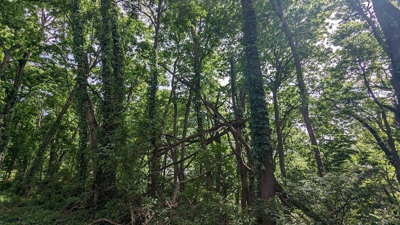 Newburgh Locks & Dam - Newburgh, IN