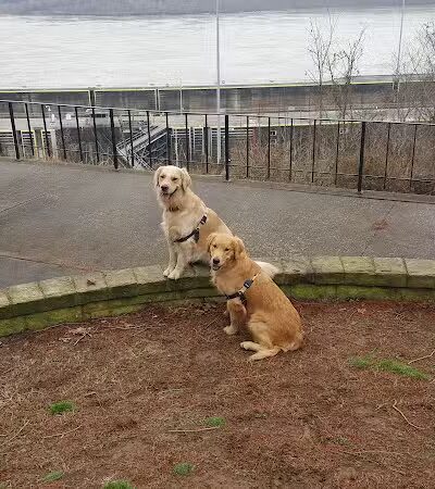 Newburgh Locks & Dam - Newburgh, IN