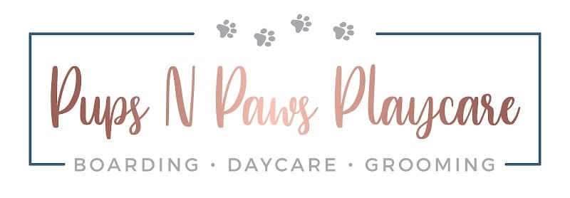 Pups N Paws Playcare - Newburgh, IN