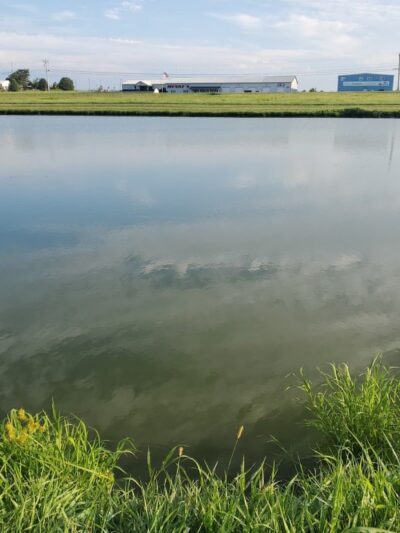 Vann Park Pond - Newburgh, IN