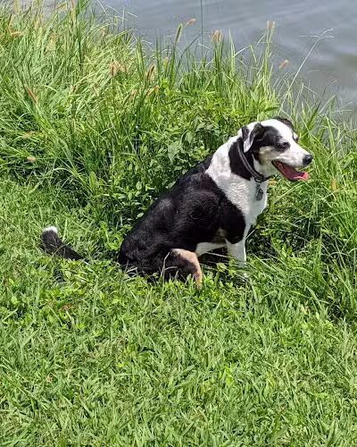 Vann Park Pond - Newburgh, IN