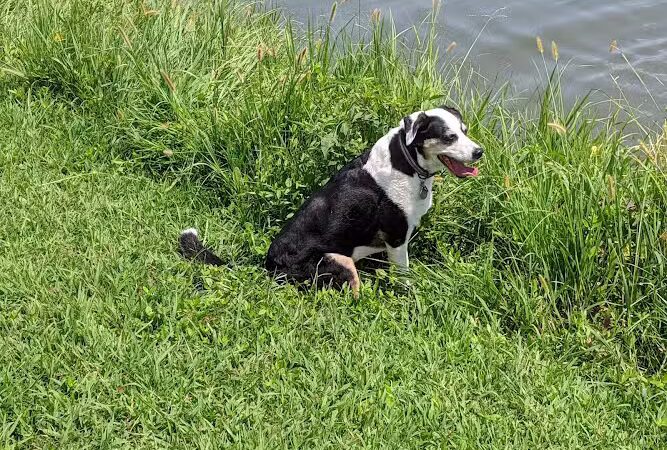 Vann Park Pond - Newburgh, IN