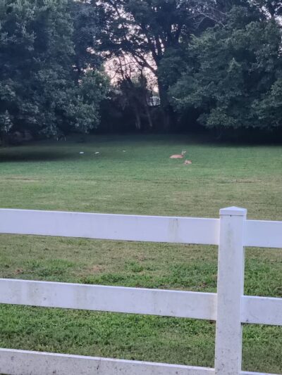 Rivertown Trail - Newburgh, IN