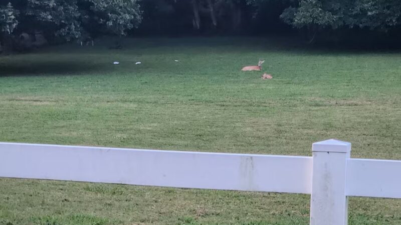 Rivertown Trail - Newburgh, IN