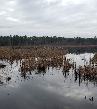 Piney Hollow Preservation - Newfield, NJ