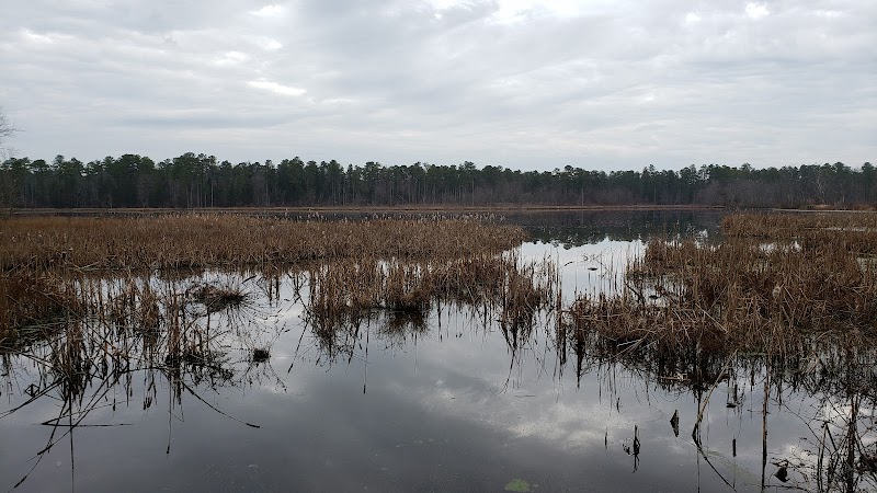 Piney Hollow Preservation - Newfield, NJ