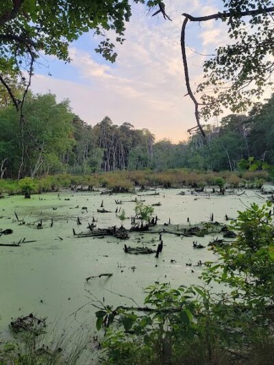 Piney Hollow Preservation - Newfield, NJ