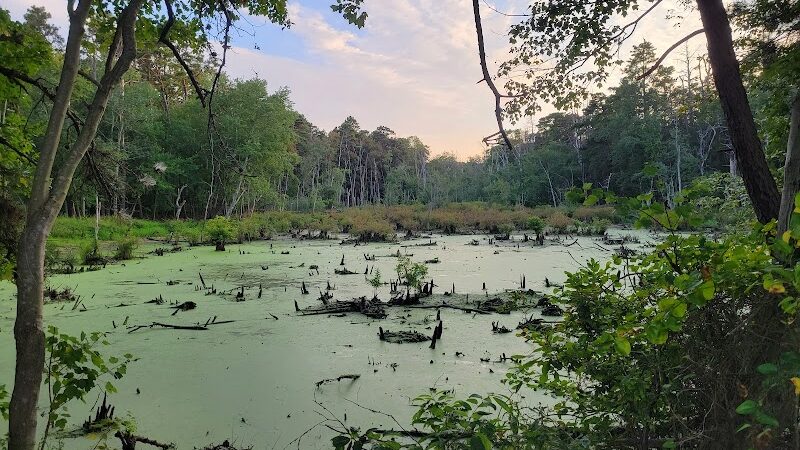 Piney Hollow Preservation - Newfield, NJ