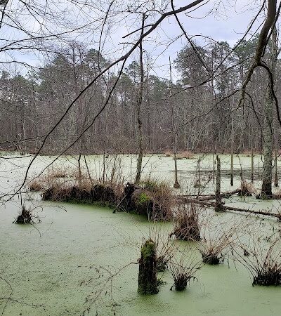 Piney Hollow Preservation - Newfield, NJ