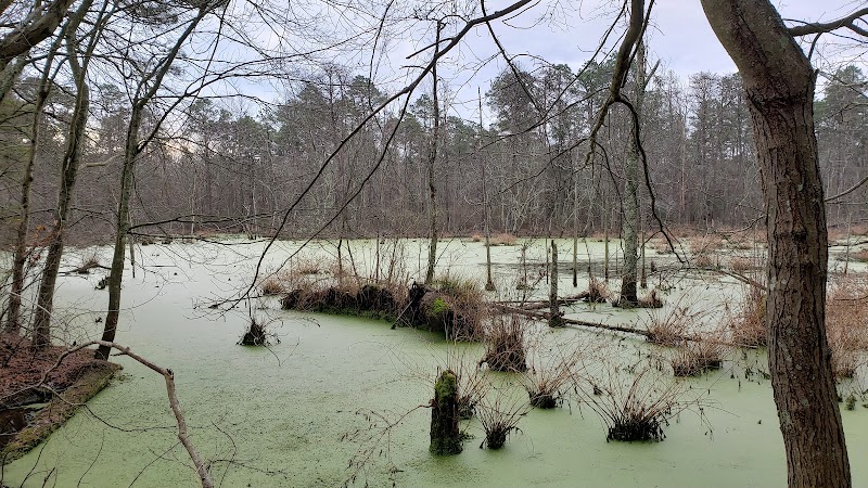Piney Hollow Preservation - Newfield, NJ