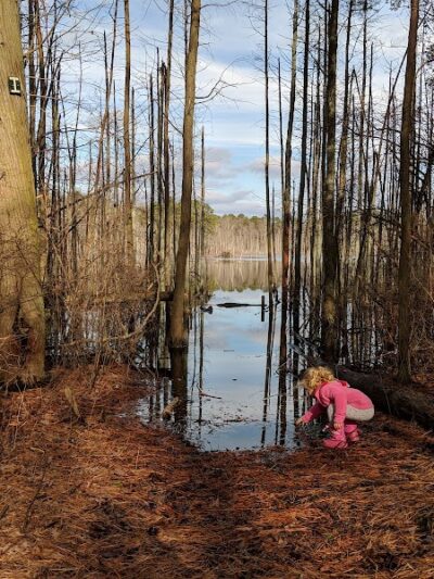 Piney Hollow Preservation - Newfield, NJ