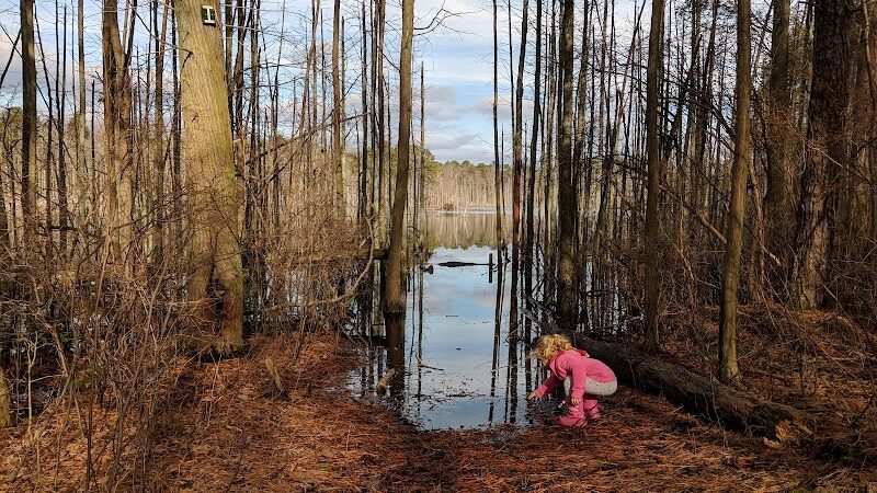 Piney Hollow Preservation - Newfield, NJ