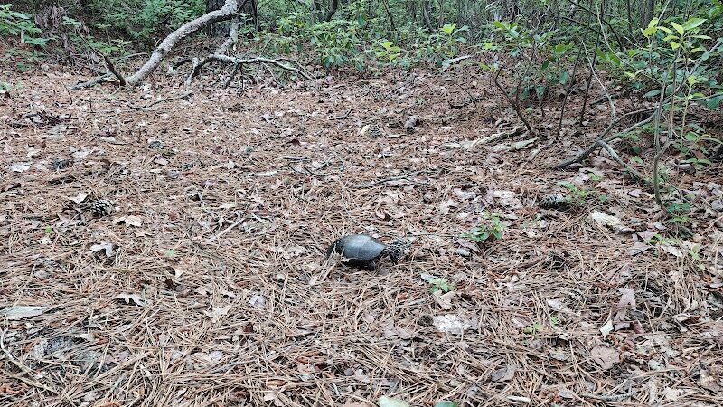 Piney Hollow Preservation - Newfield, NJ