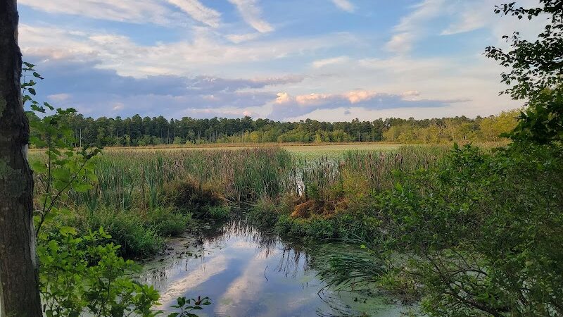Piney Hollow Preservation - Newfield, NJ