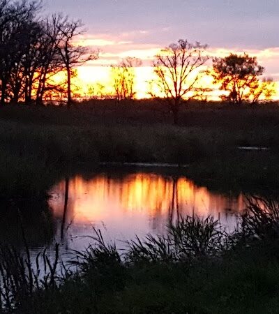 Newfolden City Park - Newfolden, MN