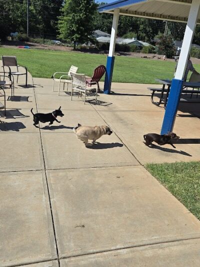 Sprayberry Rd Dog park - Newnan, GA