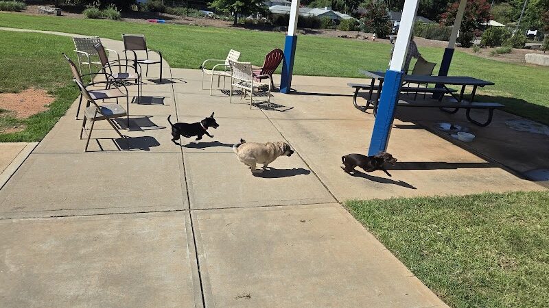 Sprayberry Rd Dog park - Newnan, GA