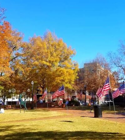 Sprayberry Rd Dog park - Newnan, GA