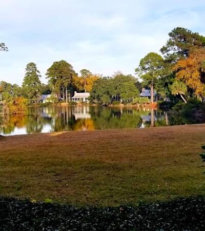 Sprayberry Rd Dog park - Newnan, GA