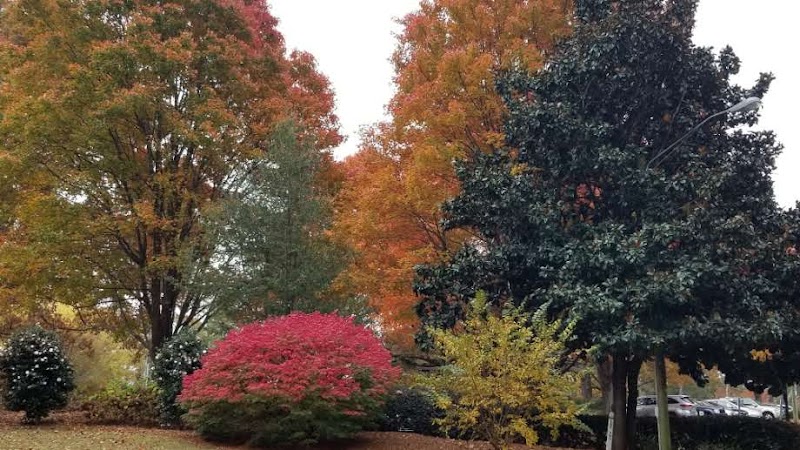 Sprayberry Rd Dog park - Newnan, GA