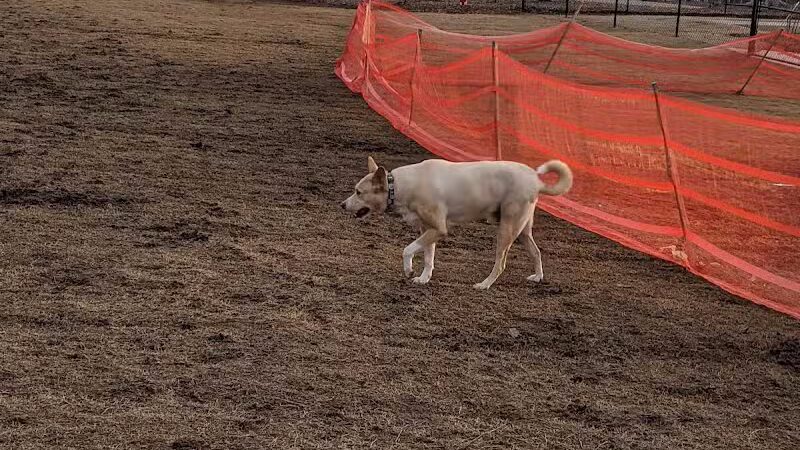 Sprayberry Rd Dog park - Newnan, GA