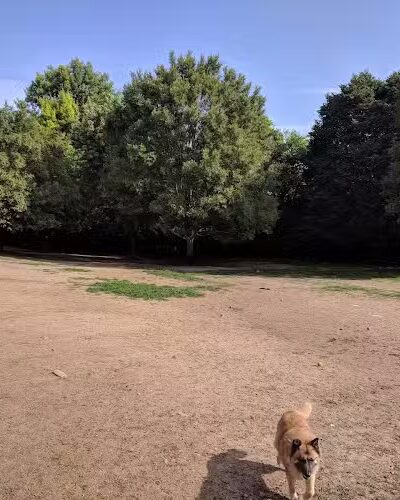 Newport Dog Park - Newport, KY