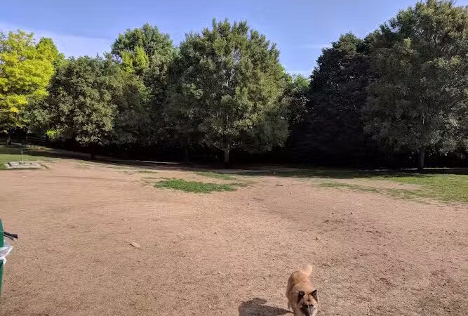 Newport Dog Park - Newport, KY