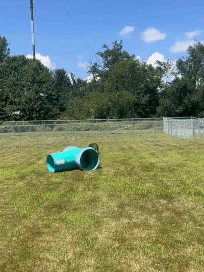 Newport Dog Park - Newport, NH