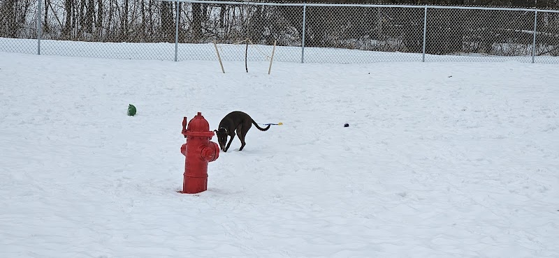 Newport Dog Park - Newport, NH