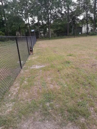 Newport Dog Park - Newport, NC