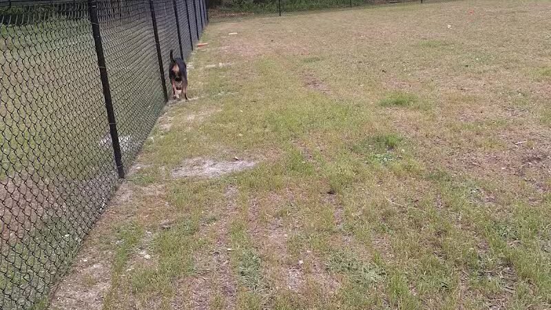 Newport Dog Park - Newport, NC